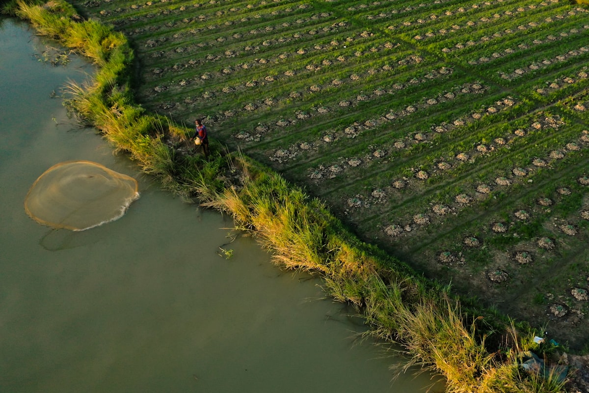 Farmer tending to crops by a calm river