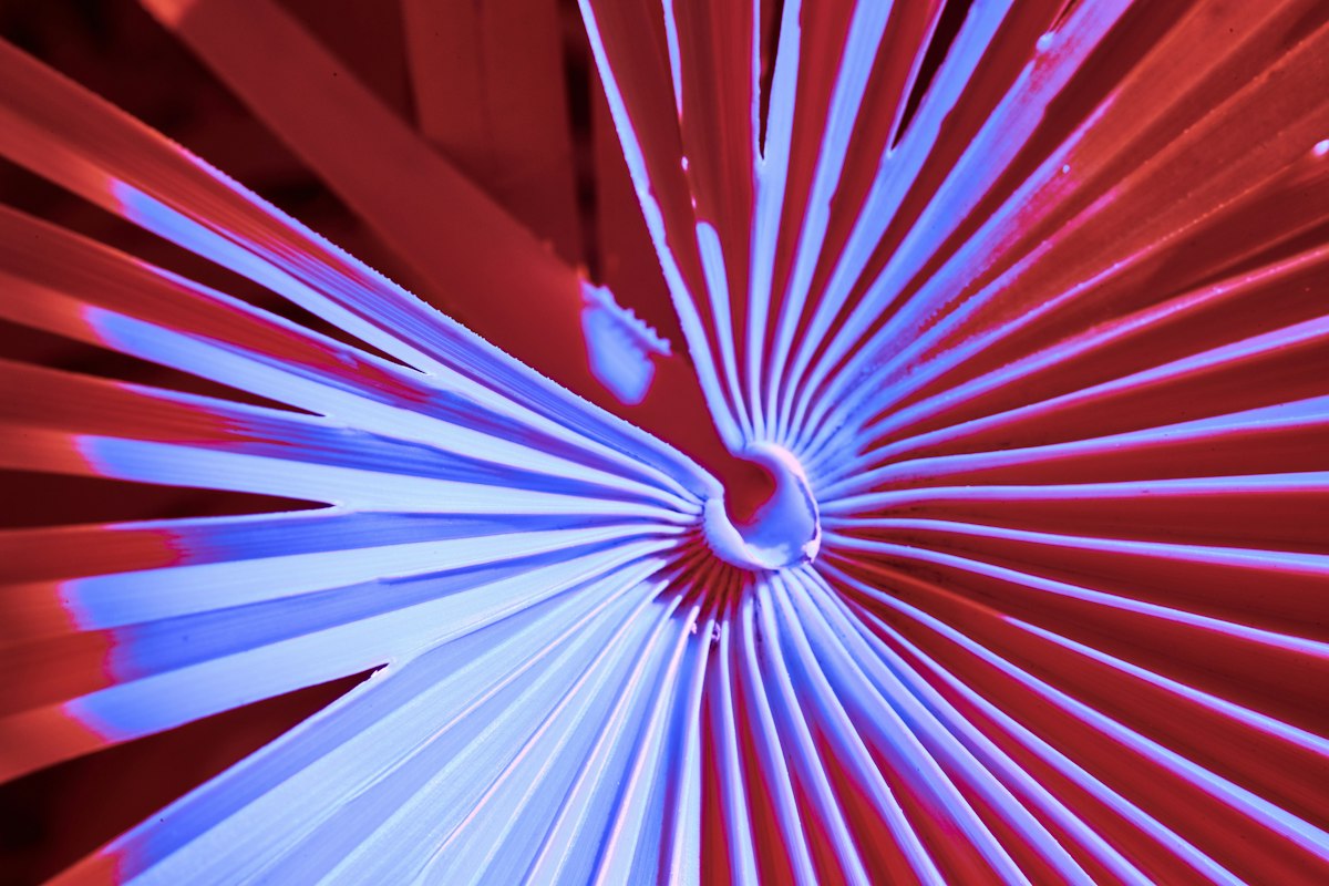 a close up of a red and blue object