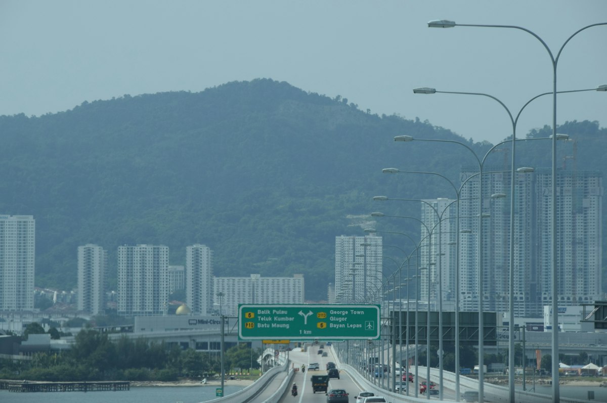 Traffic Noise Silences Gibbons' Morning Songs