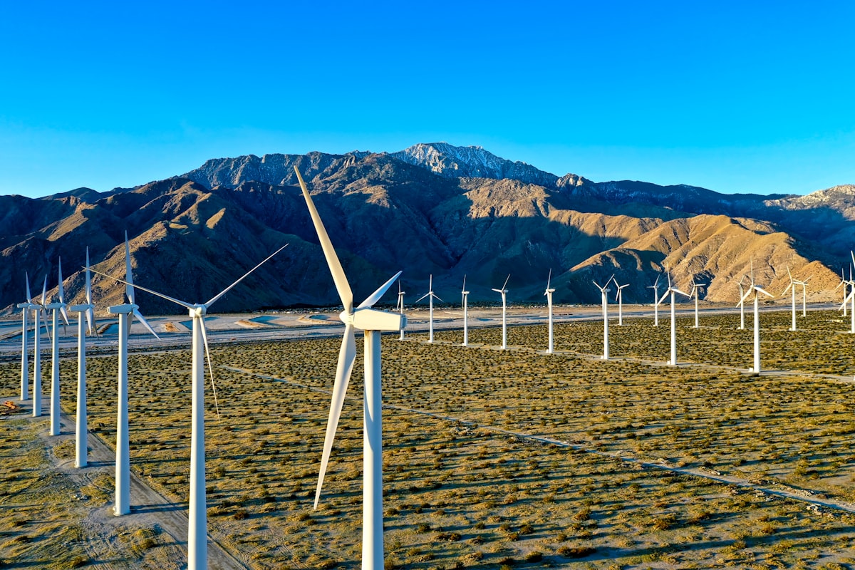 Trump Admin Abandons Wind Energy Appeal