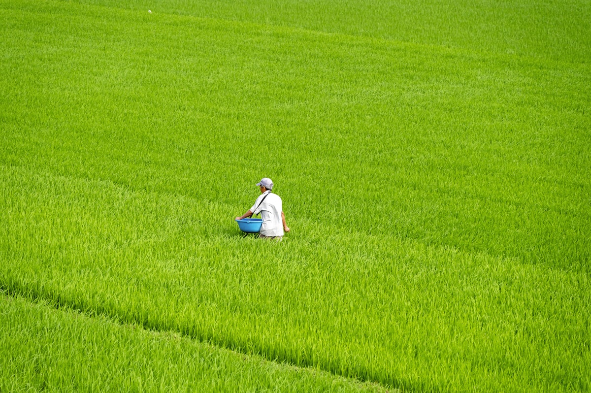The Nutrient Stewardship Programme Reality Check