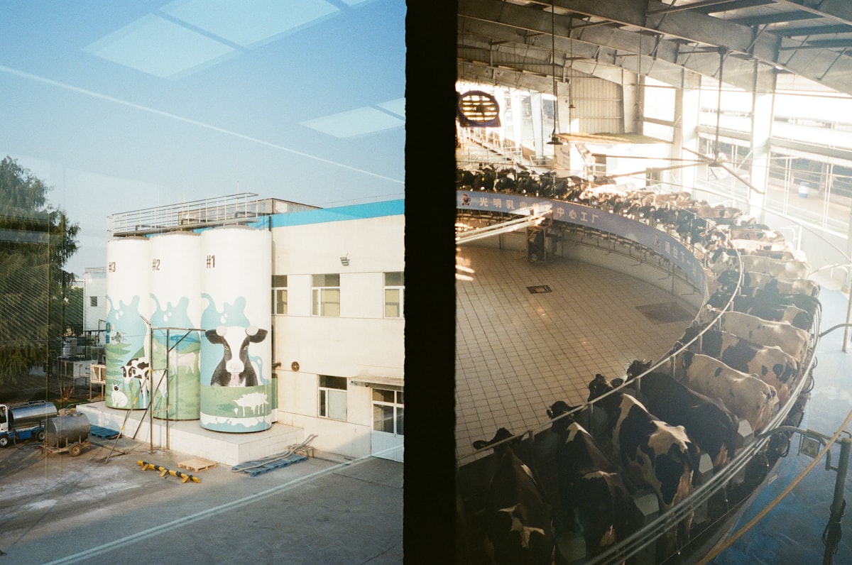 Raw Milk Dairy Outbreaks and Regulatory Shifts