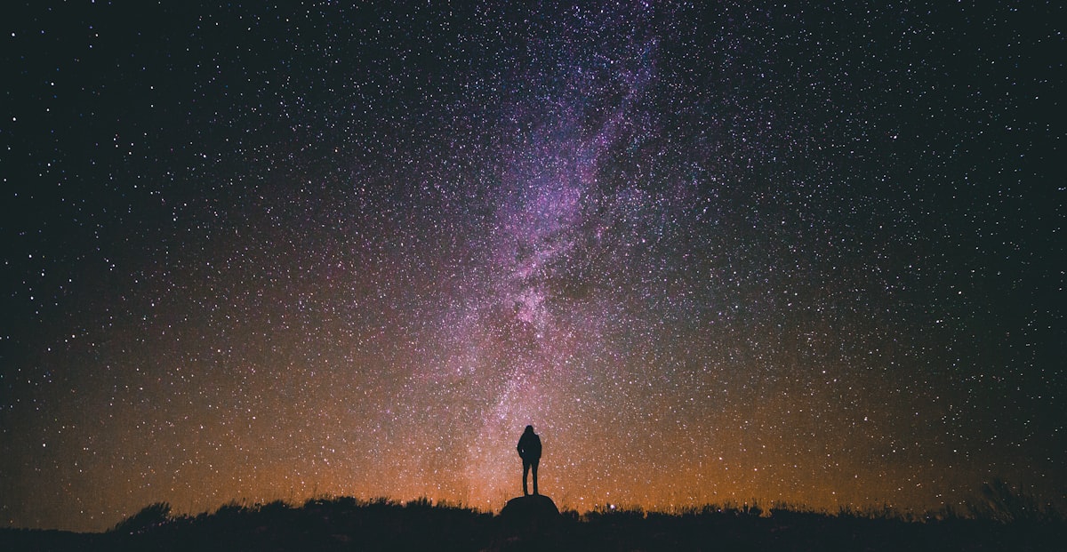 WARDEN Proposal: Protecting Space Infrastructure