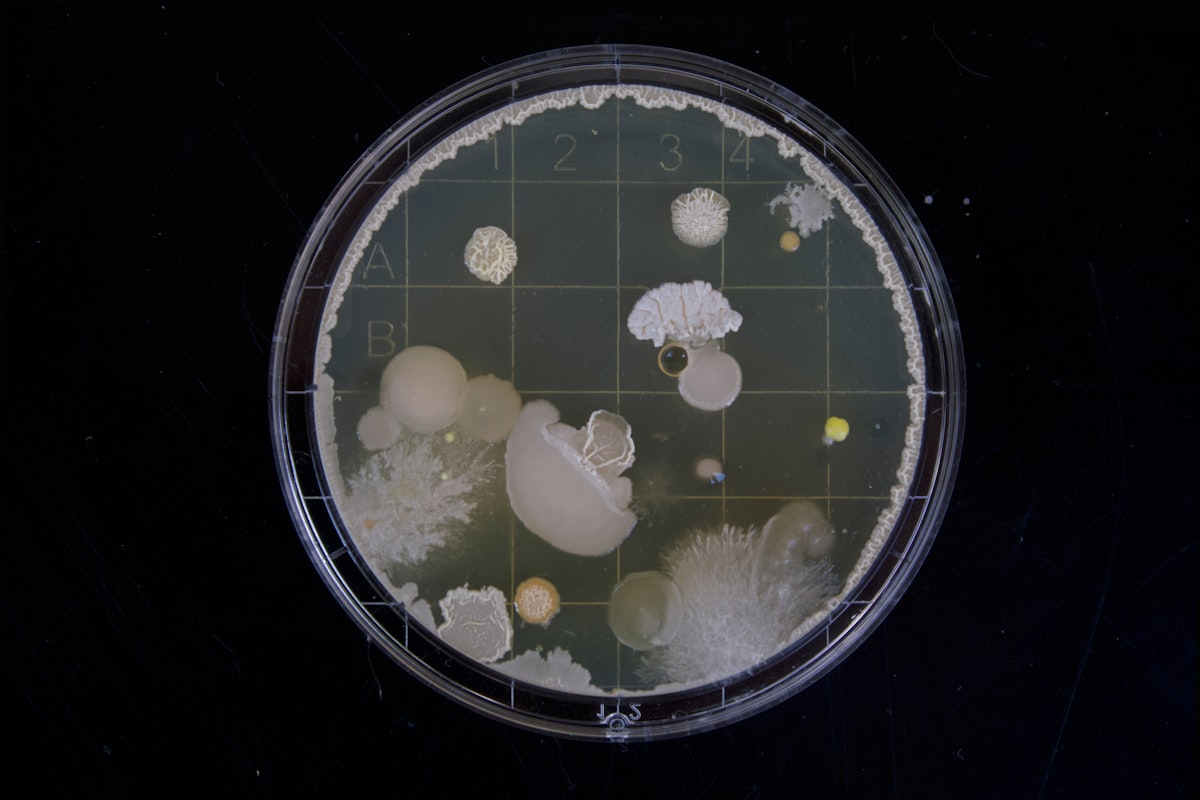 How Engineered Microbes Could Help Feed the World’s Crops