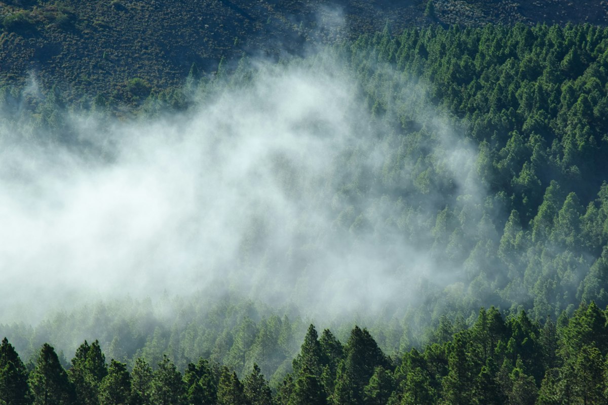 Spain battles climate change on several fronts