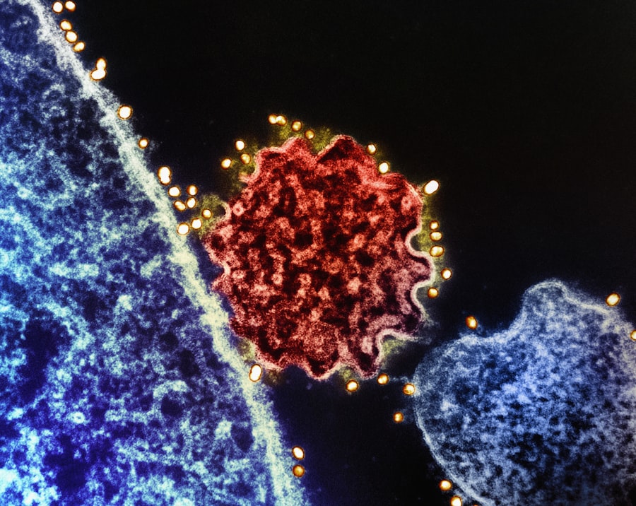 RSV vaccine FDA panel rejection analysis