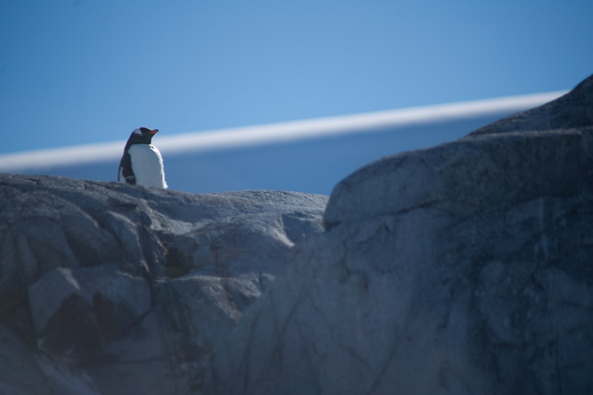 Azure Linux 4.0: Microsoft Ships Its First Server Linux Distro