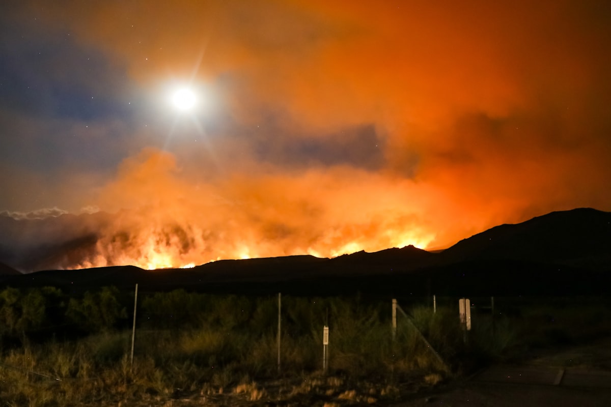 Wildfire Smoke Reverses Prenatal Air Quality Gains