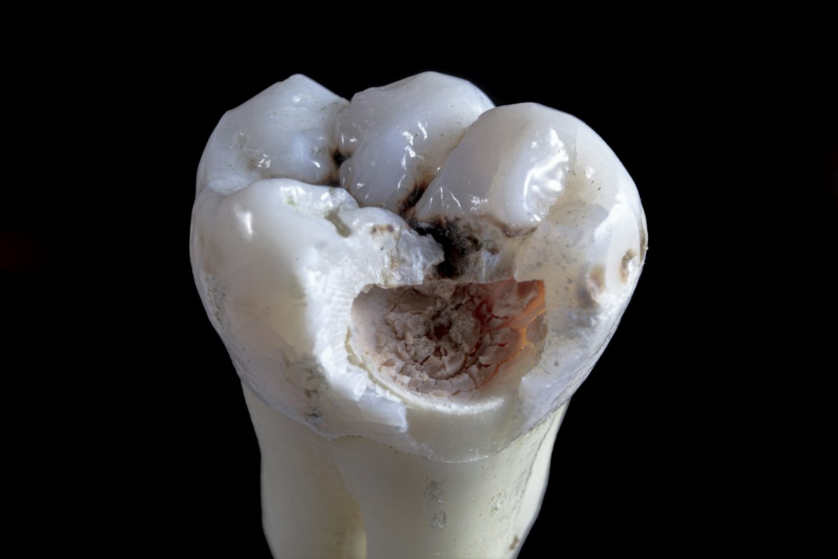 Indonesian Foragers Chewed Mind-Altering Nuts 25,000 Years Ago