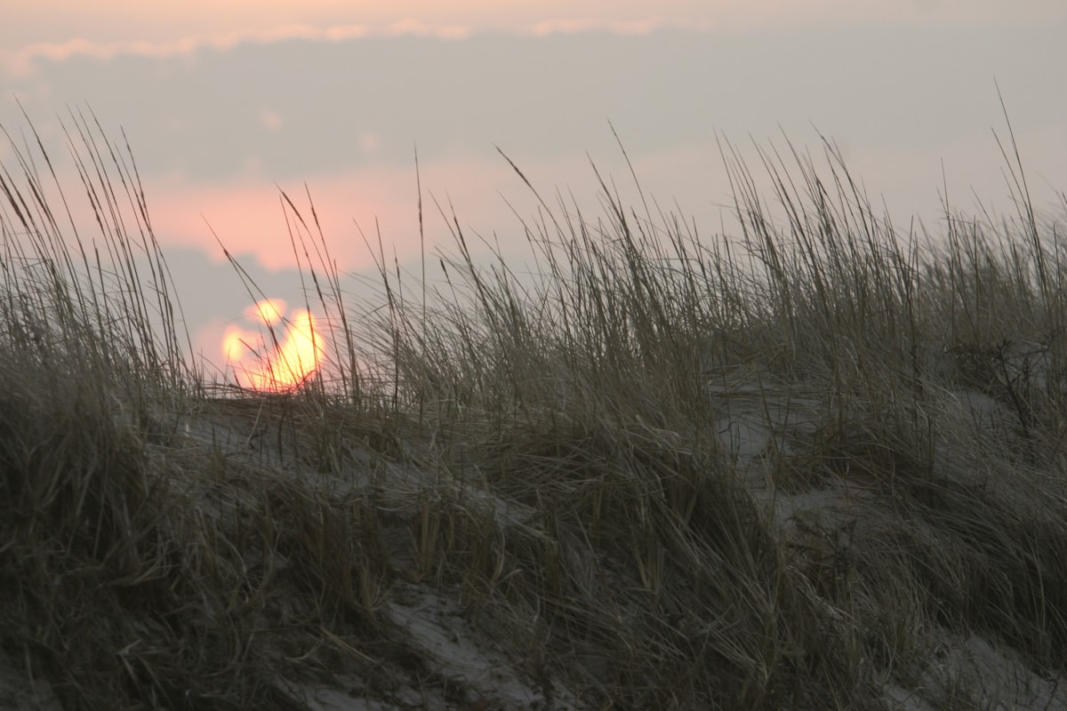 Meteor Sonic Boom Massachusetts: NASA Confirms Explosion Over Cape Cod