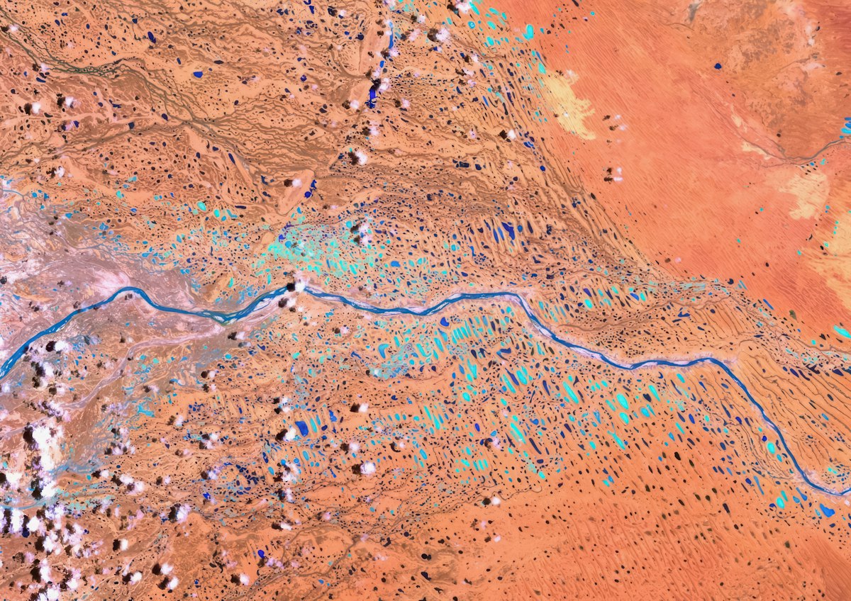 Google Removes 749 URLs Over Australia