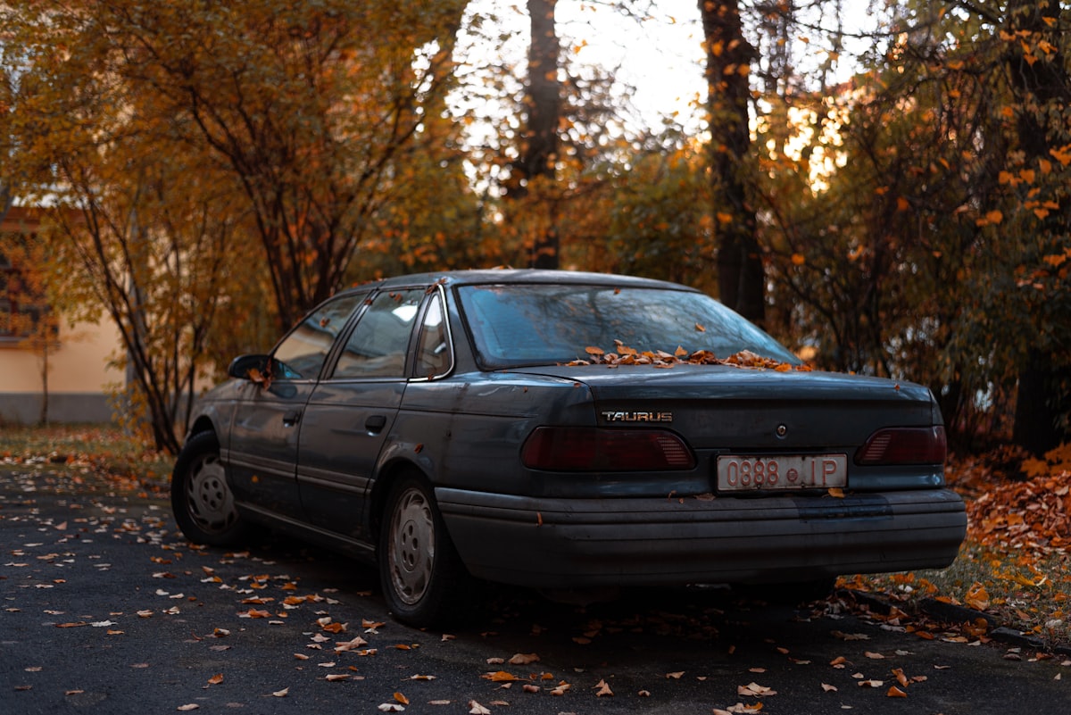 a car parked on a road with trees on the side
