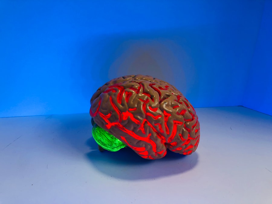 Human brain organoids grow neocortex-like tissue