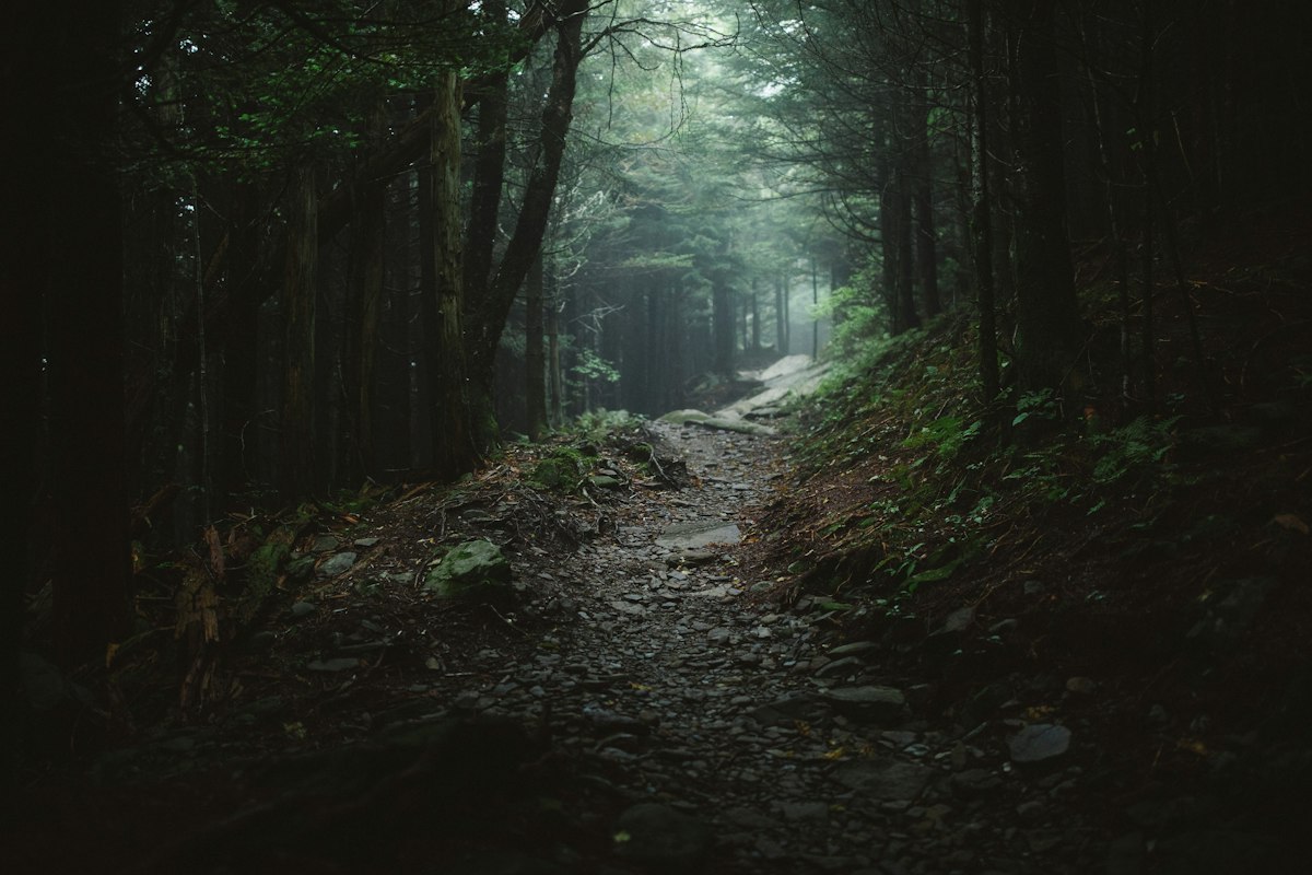 7 Soulslikes Where Your Actions Change the Story