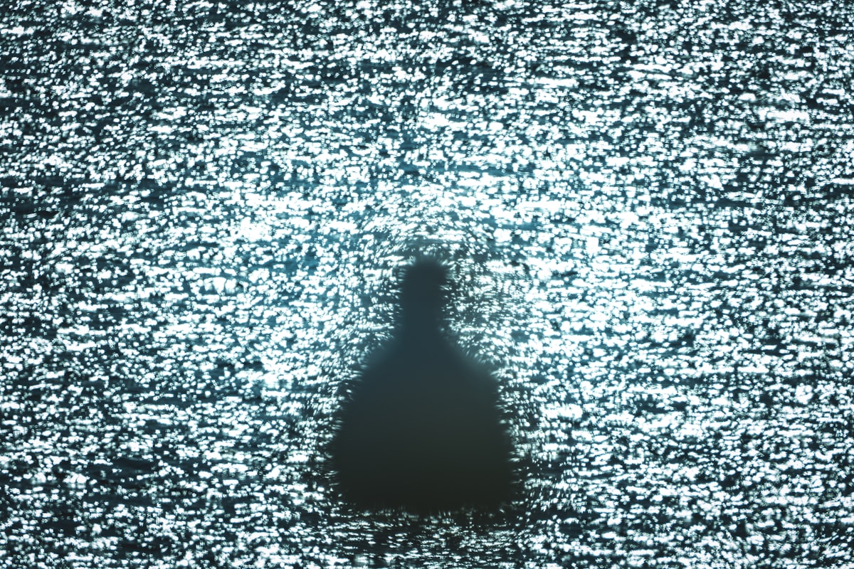 A silhouette stands against TV static