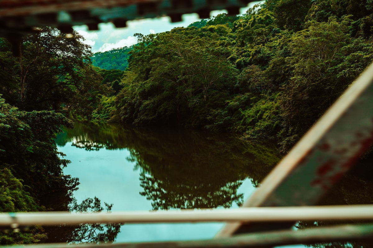 Why Uncontacted Peoples Policy Demands Restraint