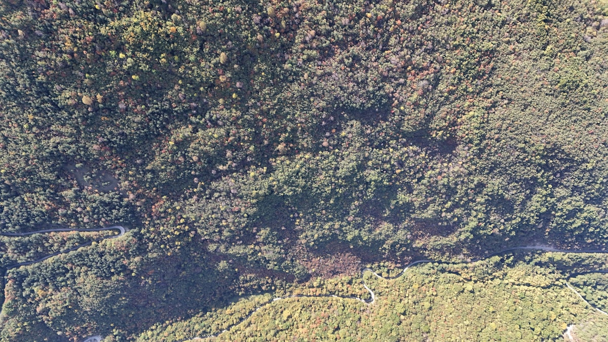 Satellite Images Reveal Scam Compounds Expansion