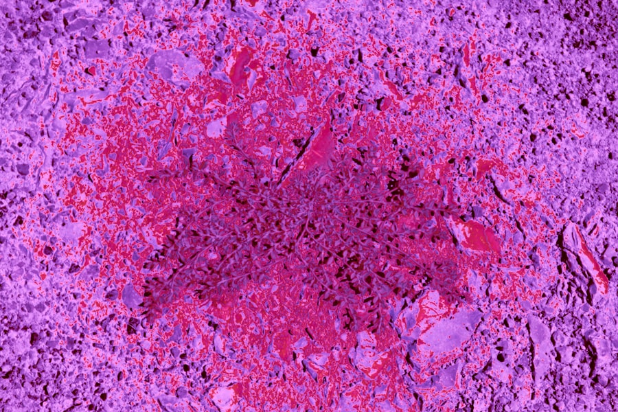 a red and purple image of a flower on the ground
