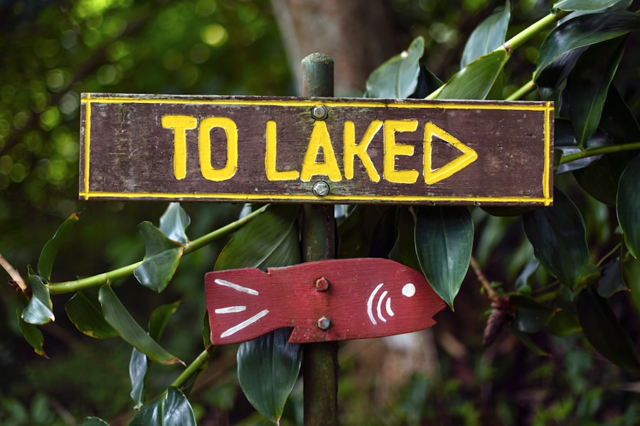 Intel Core Ultra 200S Arrow Lake launch
