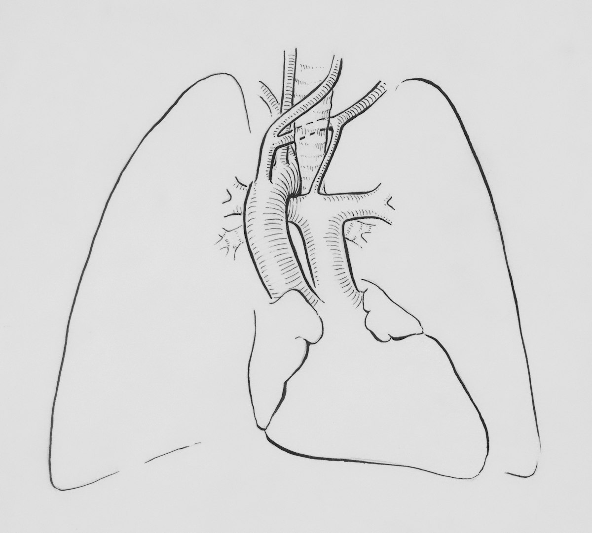 Wildfire Smoke Lung Effects: What You Need to Know