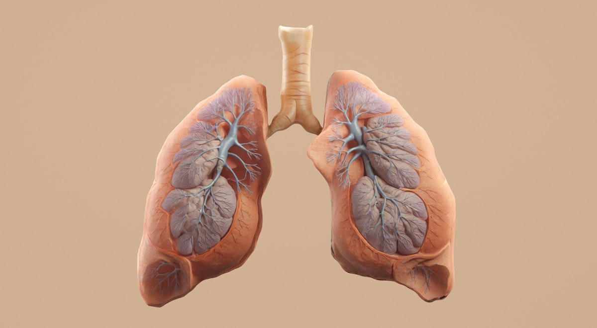 Organ Speak: What It Really Means