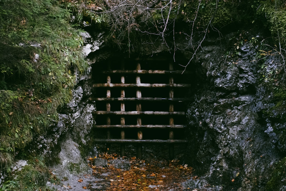 a grate in the side of a mountain with moss growing on it