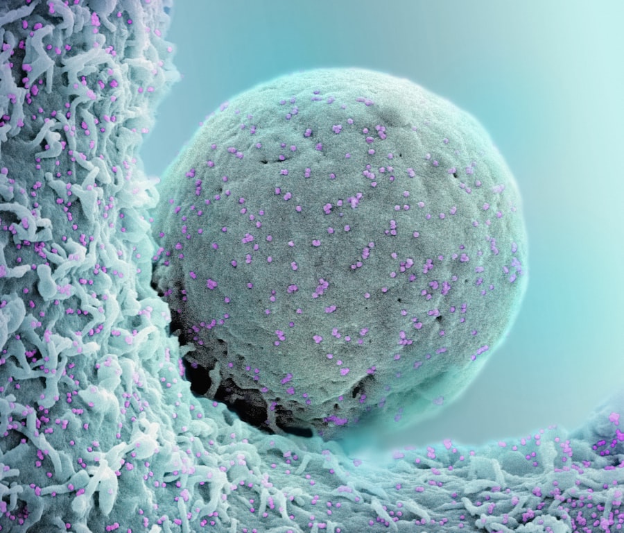 CAR-T cancer risk: FDA warns of new danger