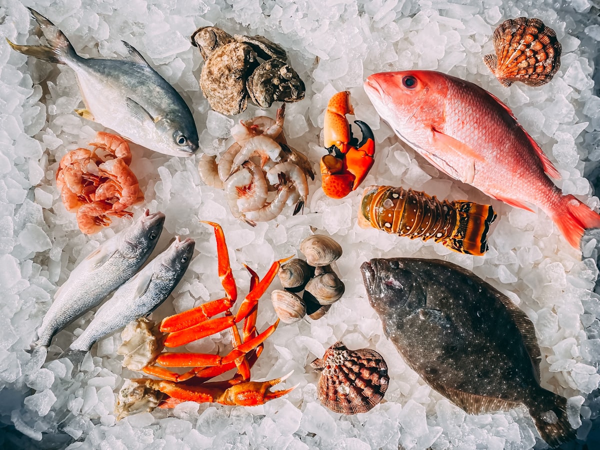Why US Seafood Sanctions Loom Over China's Shark Finning
