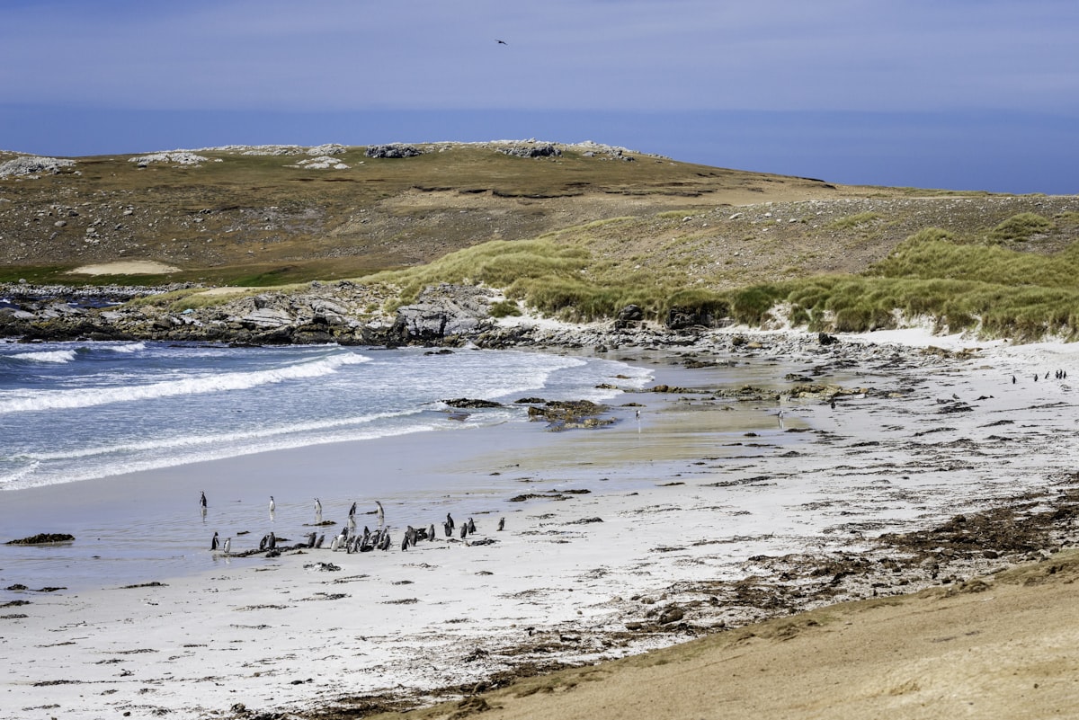 UK Responds to Falkland Islands dispute