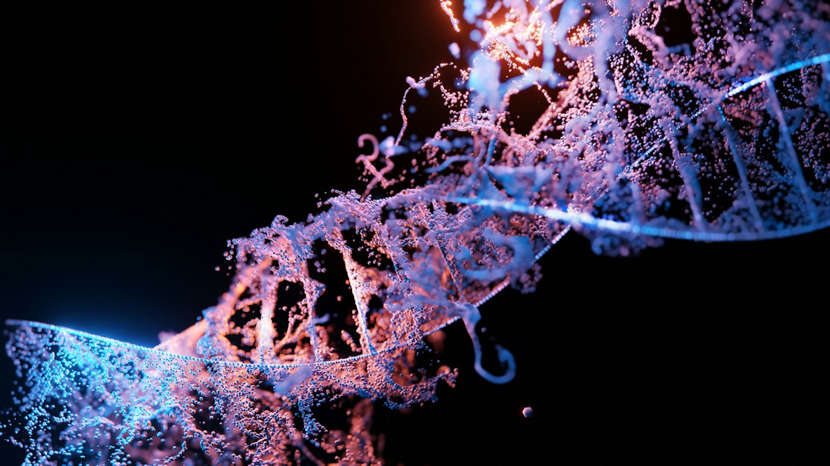 Montreal Cemetery Ancient DNA Reveals No Indigenous-French Genetic Mixing