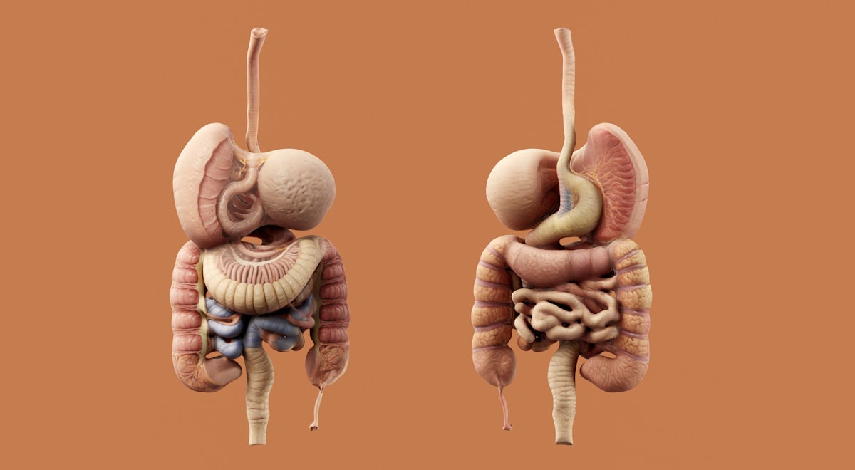 Why Gut Microbiome Testing Lacks Standardization