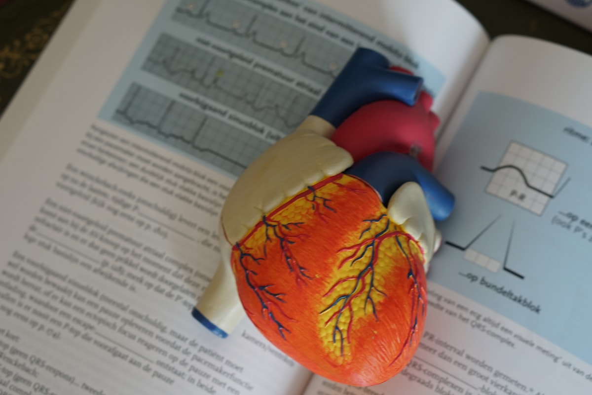 What to Know About Sudden Cardiac Arrest in Young People