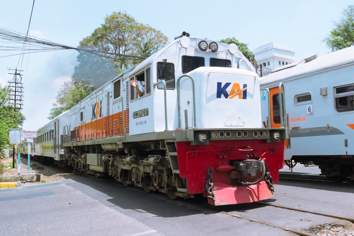 A couple of trains that are on some tracks