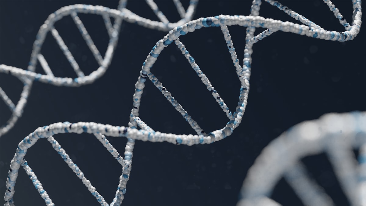 Two Genetic Codes Work Simultaneously