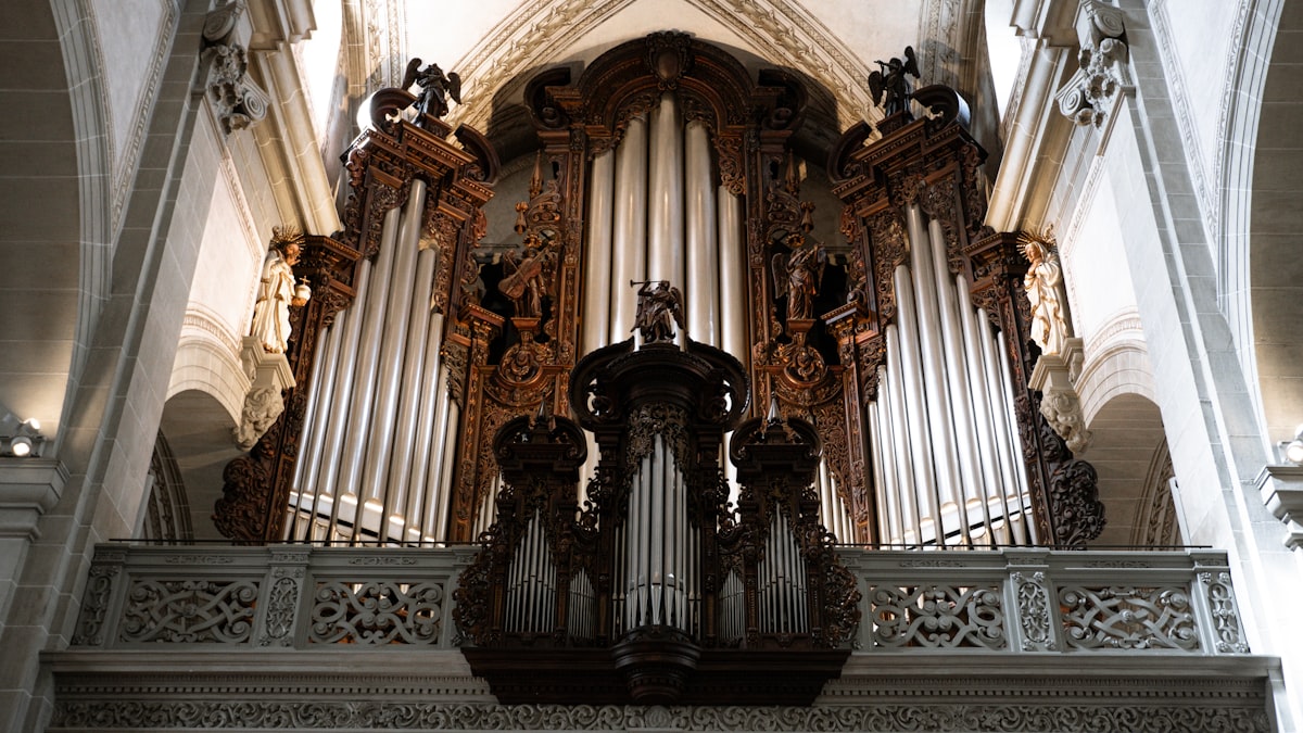 Organ Speak: What It Really Means to Listen to Your Body