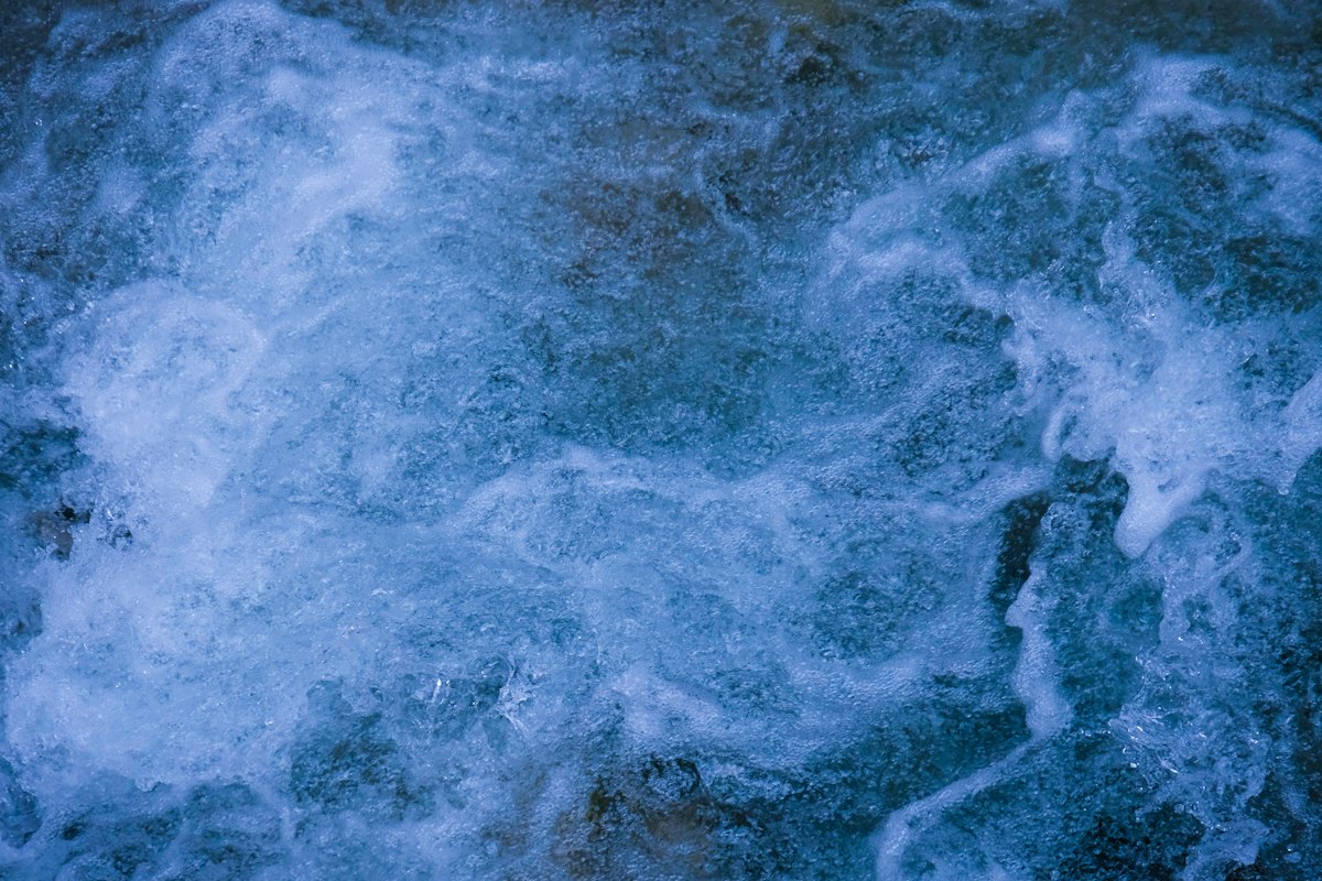Sea Monkeys Show Scientists How to Rewrite a Rule of Turbulence