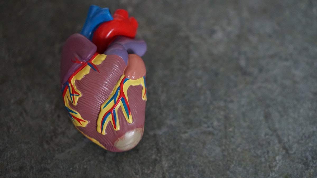 Food Additives and Heart Disease: What a Major Study Found