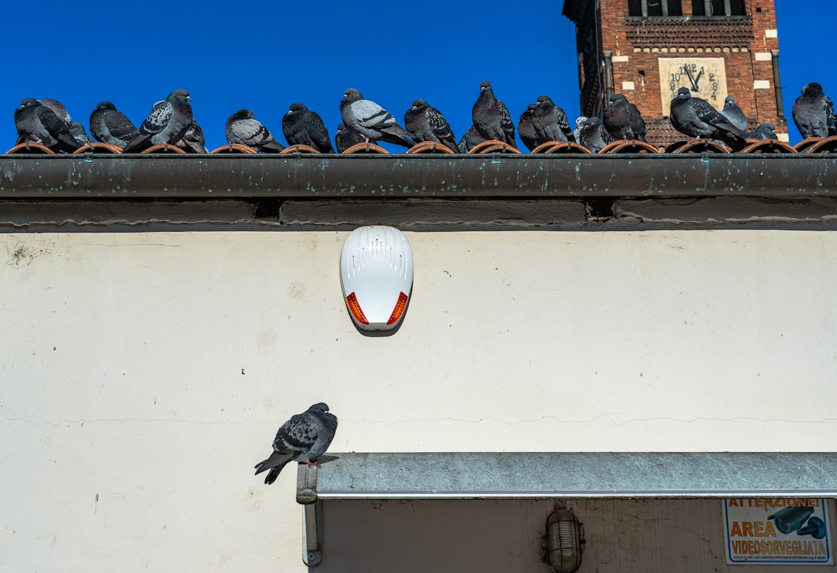 Flock OS Investigate AI Can Identify and Track Drivers
