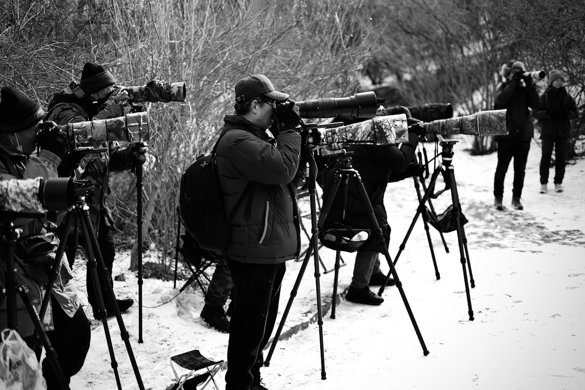 People with binoculars observing wildlife in snow