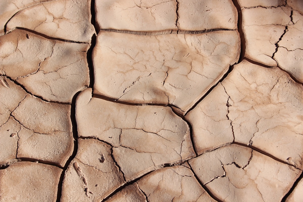 Hosepipe Bans Expand as Drought Hits England and Wales