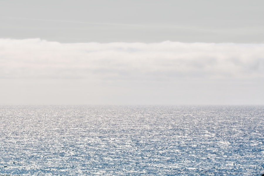 Ocean and sky meet on the horizon.