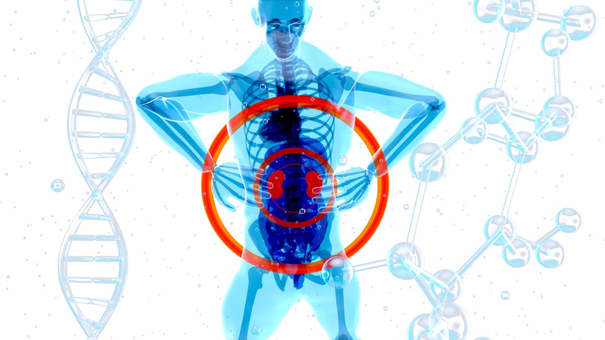 What Stress Effects on the Body