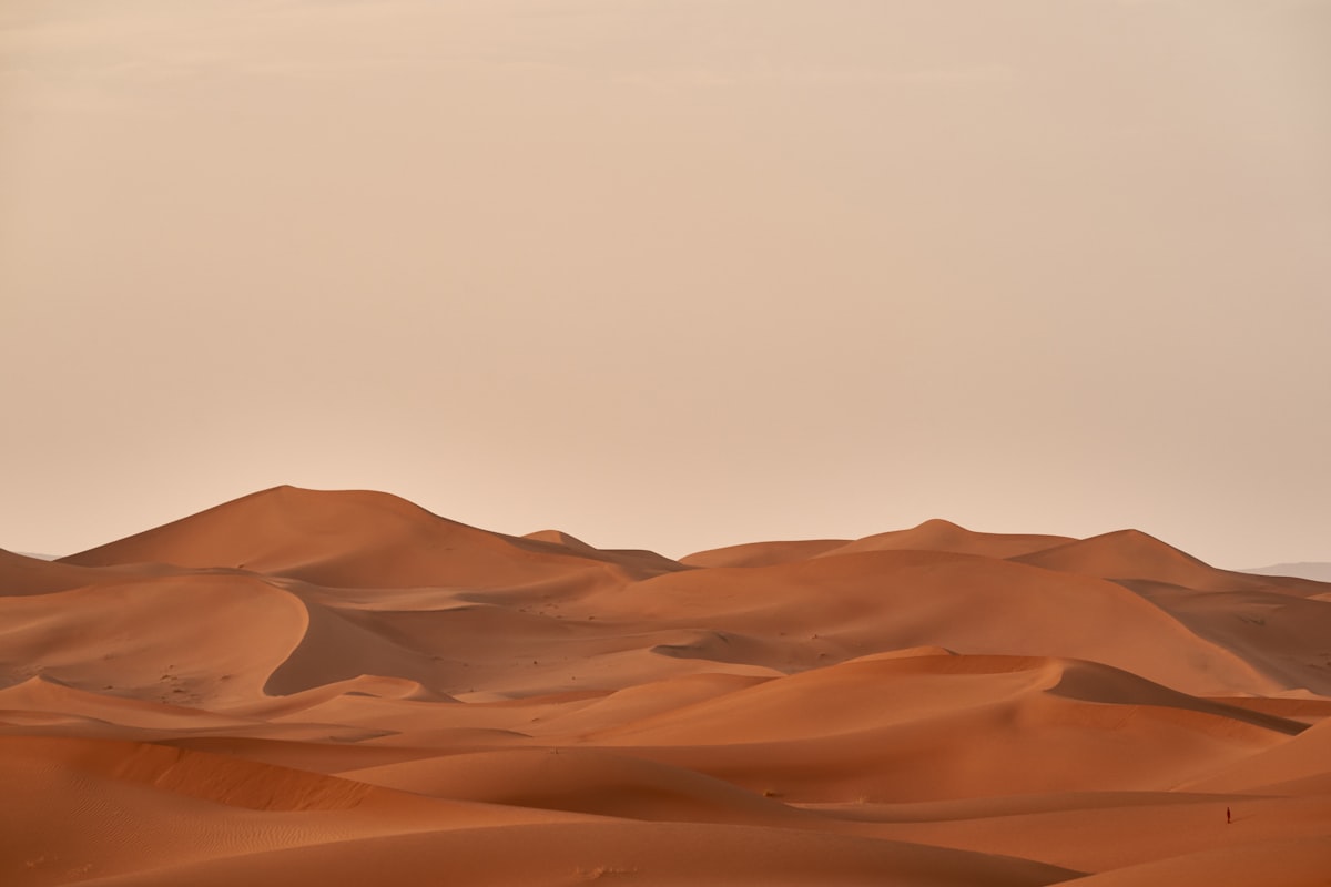 rolling sand dunes in desert landscape