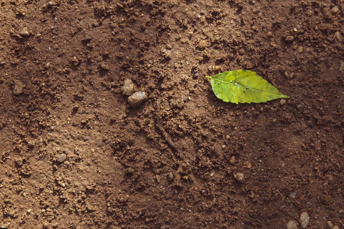 Omaha lead Superfund site Soil Tests Show Risks