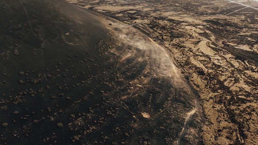 JWST carbon Europa detection reveals ocean chemistry clues