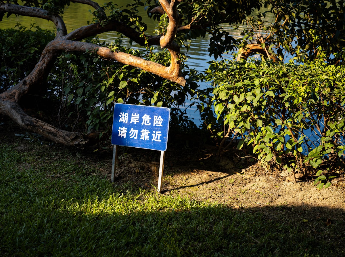 A blue sign sitting on the side of a lush green field
