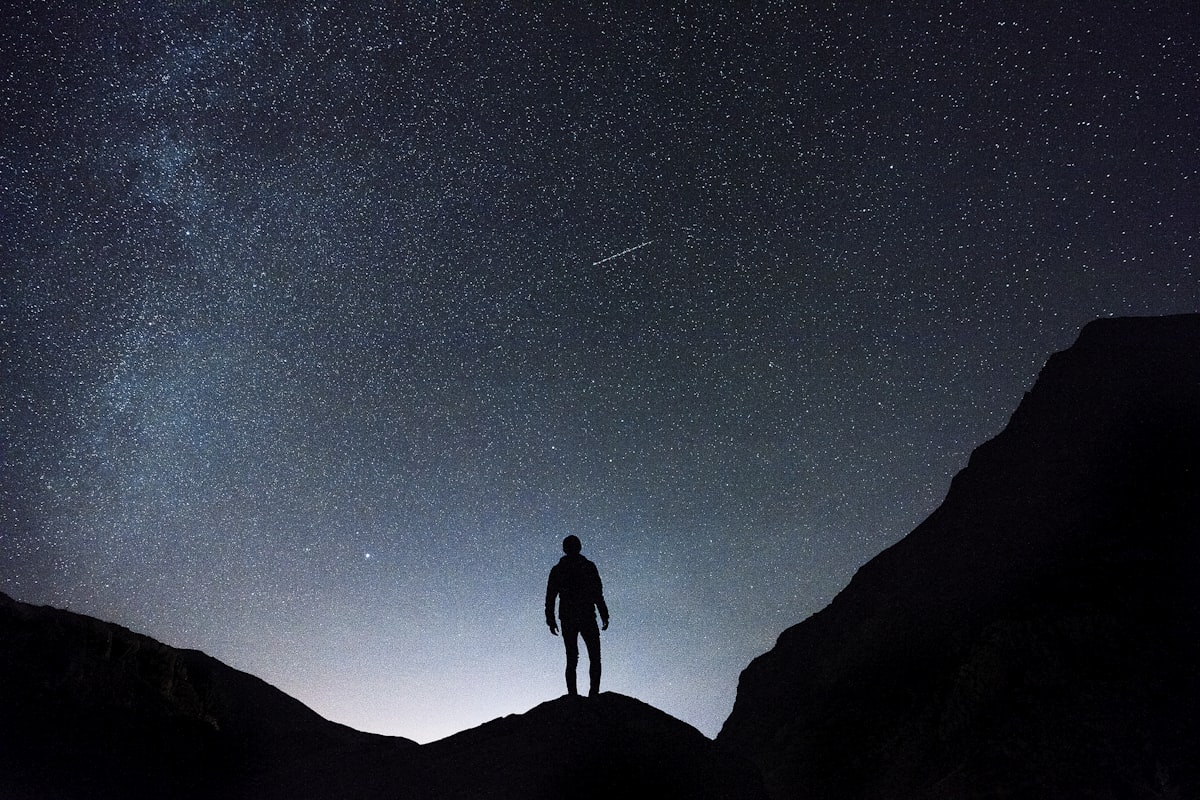 Ekpyrotic Universe: A Quick Reality Check