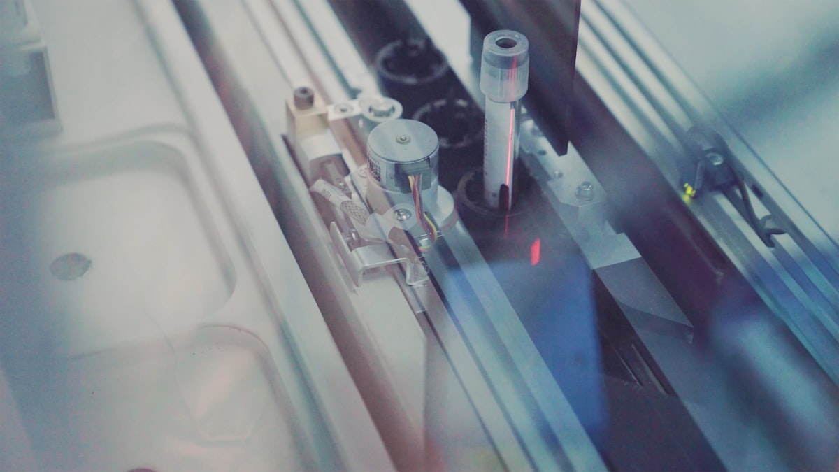 D-Wave Validates Dual-Rail Qubits for Quantum Logic