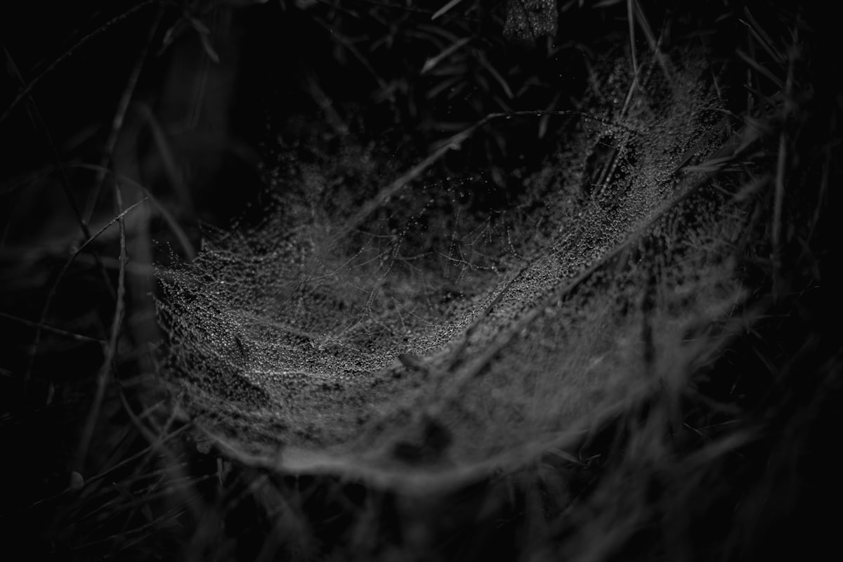 Spider-Noir Review: Should You Stream It?