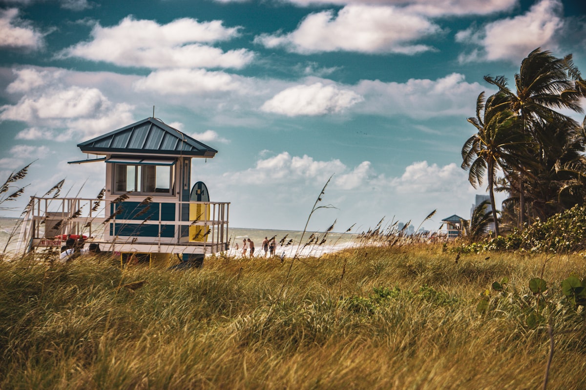 A lifeguard tower on a beach with palm trees